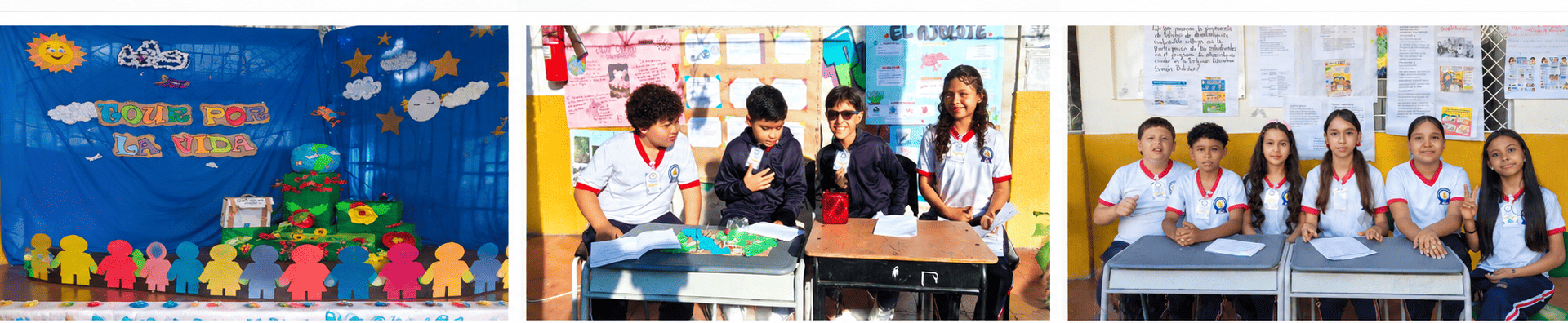 Proyectos y Tour por la vida (2)
